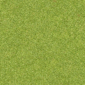 现代草皮地面-ID:246032954