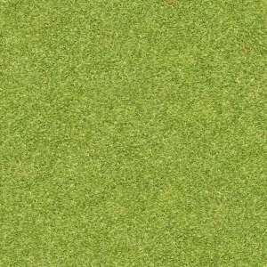 ModernGrass