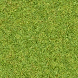 现代草皮地面-ID:797440053