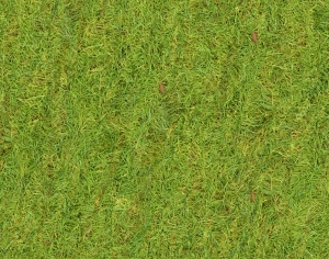 现代草皮地面-ID:235157976