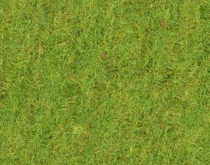 ModernGrass