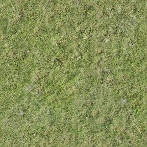 现代草皮地面-ID:937944894