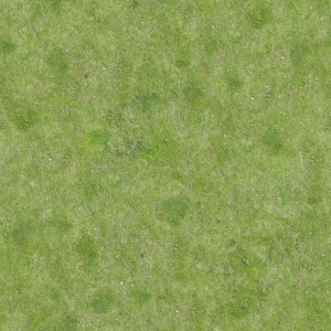 现代草皮地面-ID:319039868