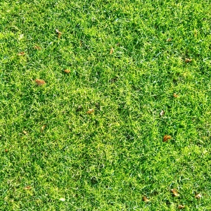 现代草皮地面-ID:269514086