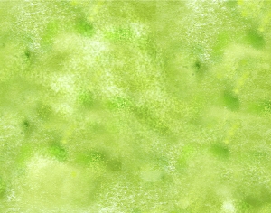 草皮地面-ID:155931003