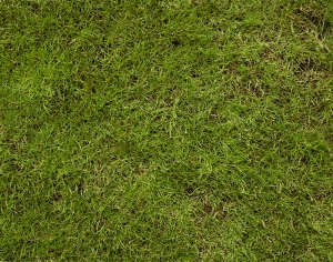 现代草皮地面-ID:233747961