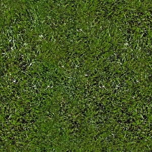 ModernGrass