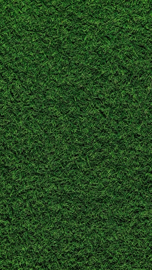 现代草皮地面-ID:409200915