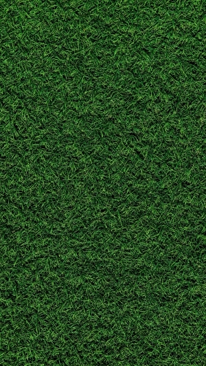 ModernGrass
