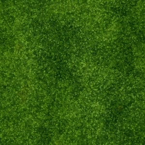 现代草皮地面-ID:900311952