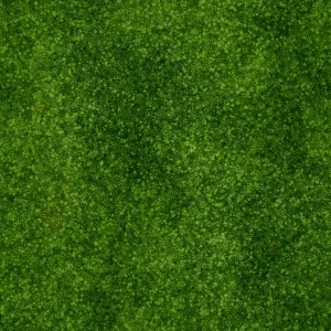 ModernGrass
