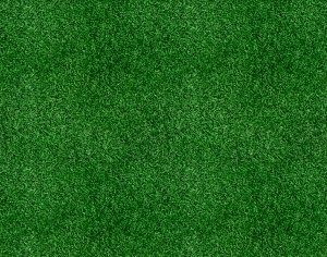 ModernGrass