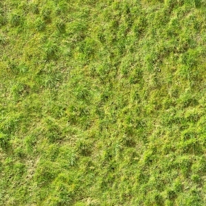 ModernGrass