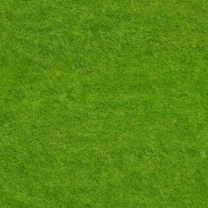 草皮地面-ID:656249059
