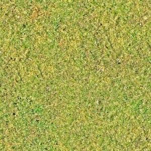 ModernGrass