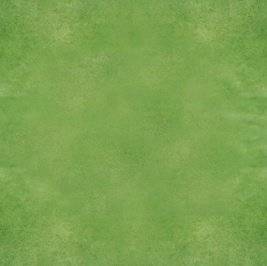 草皮地面-ID:226937063