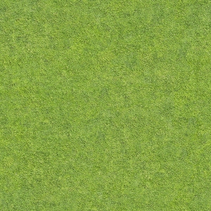 草皮地面-ID:890801917