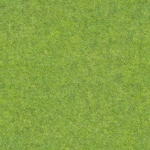 ModernGrass