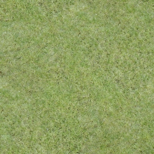 草皮地面-ID:647000078