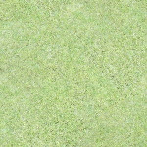草皮地面-ID:504827024