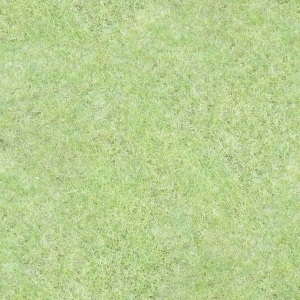 ModernGrass