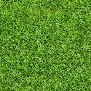 ModernGrass