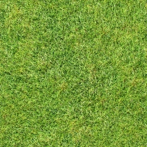 ModernGrass
