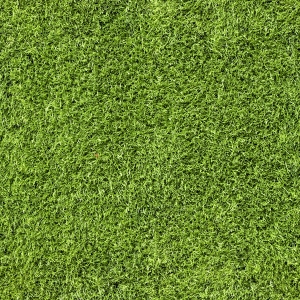 草皮地面-ID:775008926