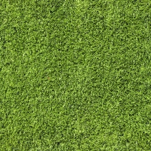 ModernGrass