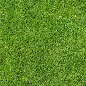 ModernGrass