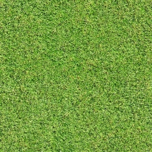 ModernGrass