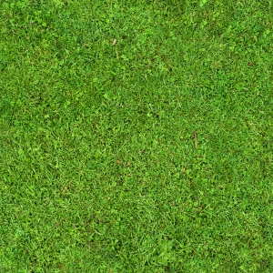 草皮地面-ID:129509931