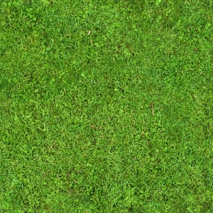 ModernGrass