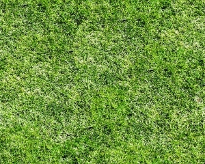 ModernGrass