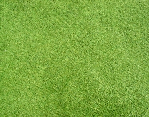 ModernGrass