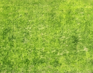 ModernGrass