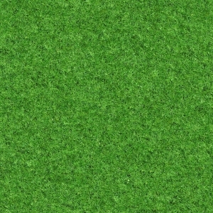 ModernGrass