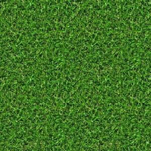 草皮地面-ID:713236091