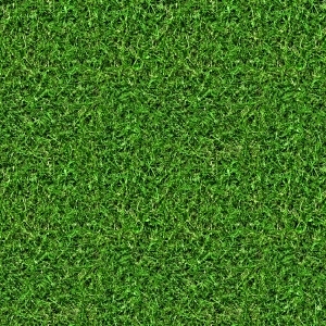 ModernGrass