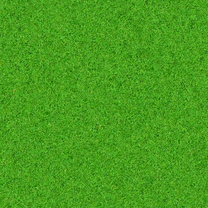 草皮地面-ID:582730059