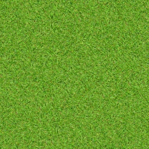 草皮地面-ID:106863024