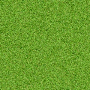 ModernGrass