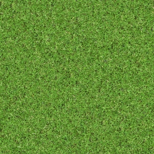 草皮地面-ID:718869923