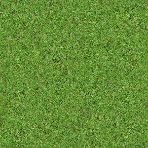 ModernGrass