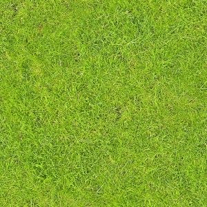 ModernGrass