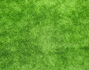 ModernGrass