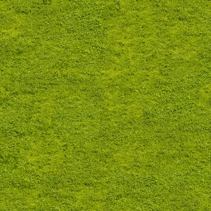 草皮地面-ID:516810892