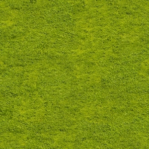 ModernGrass