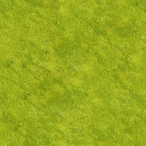 草皮地面-ID:544792896