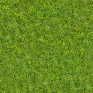 草皮地面-ID:501398094